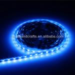 2013 hot sale 5050 SMD digital led strip DD-01