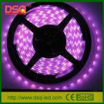 3528 waterproof flexible 12v led strip light DSQ-FS3528BN30-F5 Strip