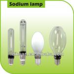 400w sodium lamps made in china high quality and low price SON-T250 1000 watt hps grow lights