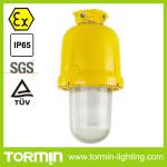 BC9330 metail halide /high pressure sodium floodlight/foodlighting/Ex MH floodlight BC9330W