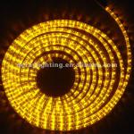 Best price! (2 wires round),60pcs LED/m led rope light DR-2W