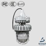 Chemical Plant and gas station lighting option 60w -165w die cast explosion proof light DL-FB04E