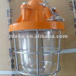 DCG52-200W Explosion proof lamp