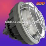 energy saving induction explosion-proof light BDD-WFB-03