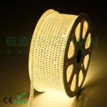 HUGEWIN upgrades 3528 120leds per meter led strip 220v single line waterproof led strip 3528-120