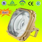 Induction explosion proof flood light 200W with TUV-CB TY311