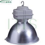 LTTS Highbay Induction Light 250W CFD009