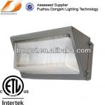 Outdoor wall pack lamp lighting tunnel light luminaires DS-403