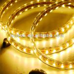 smd3528 led strip light 5meters 30leds 12v outdoor rainbow LW-SF-001