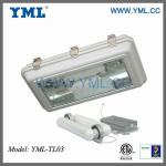 UL, ETL,CE,ROHS high pwer induction tunnel bulb light tunnel tunnel lights TL03