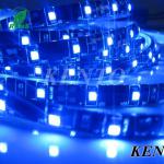 Waterproof Flex RGB Christmas decorations SMD Strips KT-45