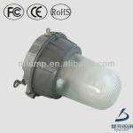 WF2 IP65 60W induction marine explosion-proof light DL-FB03E