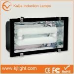 Best Price 120W Low Frequency induction tunnel light