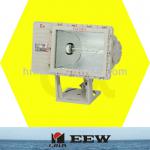 Explosion-proof flood lightings