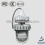 100v-300v explosion proof light 60w-165w Induction Explosion Proof Light