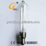 1000W Sodium lamp, HPS lamp Street light GR