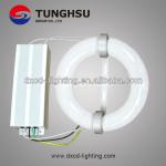 100w To 300w Competitive Price Induction Lamp Saler DX-WH