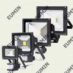 10W 20W 30W 50W Waterproof PIR Sensor Flood Light With Camera EML-HFL05A-WW50W