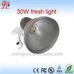 10W, 20w , 30w outdoor IP65 project led flood lighting led flood lighting HB-D-30