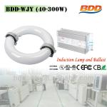 120W China Lighting Indoor Lighting Induction Round Tube BDD-WJY-120W-HX