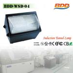 120W Electronic Ballast Tunnel Light BDD-WSD-04