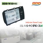 120W Energy Saving Induction Lamp Tunnel Light BDD-WSD-01