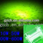 12V 24Vdc, AC 10W-600W submersible underwater green led fishing light Stick CH UWFLED100W