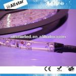 2 years warranty RoHS CE 3528 waterproof factory price strip led ST-3528PU 30/60/120