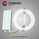 200W/300W Round Magnetic Induction Lamp 110V-277V with UL Approved Ballast DX-WH