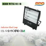 200W Induction Flood Light BDD-WTG-01 B