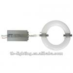 200W magnetic induction lamp, price induction lamp TBD220V200_W01