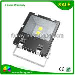 2013 Best Sale IP65 Outdoor 100W LED Flood Light FR-FL05-100(LED Flood Light)