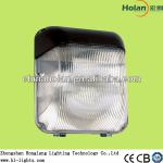 2013 CE ROHS 80W induction lamp for wall light high quality HLG721 2700K 5000K 6500K HLG721