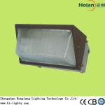 2013 CE ROHS 80W Induction Lamp for Wall Light high quality HLG722 2700K 5000K 6500K HLG722