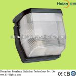 2013 CE ROHS 80W induction lamp for wall light HLG723 HLG723