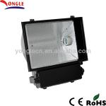 2013 HOT SALE CE,ROHS IP65 250/400W Metal Halide Floodlights YL8004