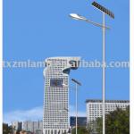 2013 hot sell in South America high quality energy saving led solar street light TYN-037