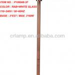 2013 NEW HOME FLOOR LAMP P106048-3F P106048-3F