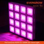 2014 Evergrow Latest Masterpiece Nova S2 M16 1200W led grow light for indoor cultivation Monster 16