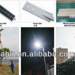 2014 promotion outdoor wall mounted 30W Solar street light LR-SSLYT-230