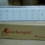 24 LED Emergency Light EEL-09-24LED