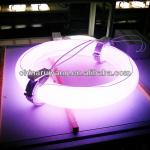 300w Induction Lighting Grow UV Light RY-O