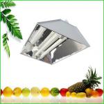 400W 500W induction super new grow light high power bi-spectrum induction grow light induction grow light