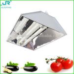 400W 500W plasma grow light induction grow light induction grow lamp