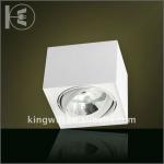 50W Square Surface Mount Downlight Fixture DL111N-1