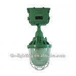 55W induction explosion-proof tube light for explosive gas environment, 60000h lifespan lvd induction light E55P001