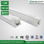 6000K High Lumen Efficiency 1200MM 18W T8 Integrated Lamp T8