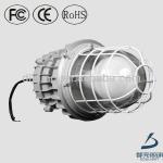 60W explosion-proof lighting induction light DL-FB04E