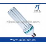 6u cfl 6u lamp 001