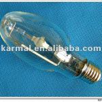 70W 100W 150W 175W 250W 400W 1000W 1500W 2000W Metal Halogen Lamps ED55 T46  T38  ED76   ED90  ED18  ED120  BT180  TT